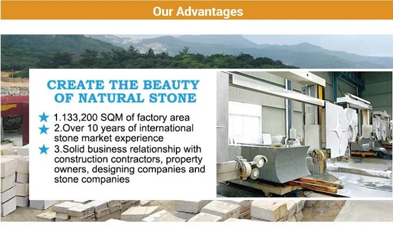 product-800-466 image001(001)