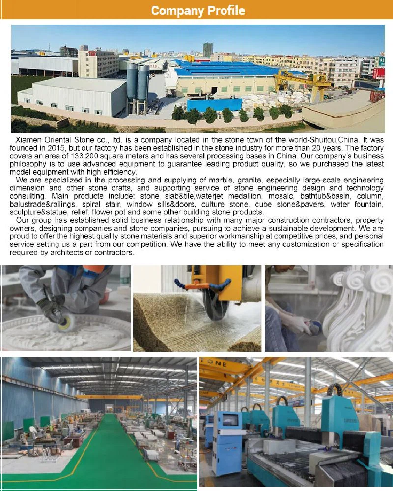 product-800-1001 image014