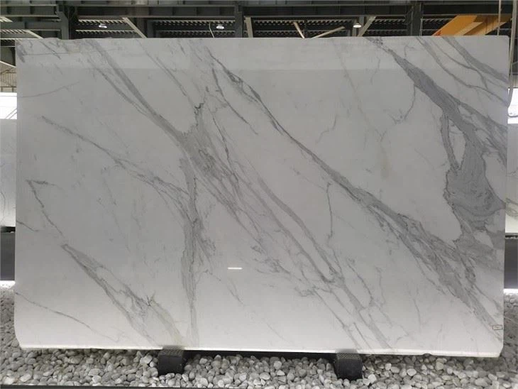 daltile selwyn bianco calacatta(001)